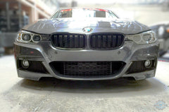 2012-2013 3 Series Kidney Grilles