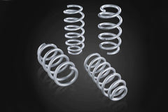 STARTECH Lowering Spring Kit for Tesla Model Y AWD - E3Tuning