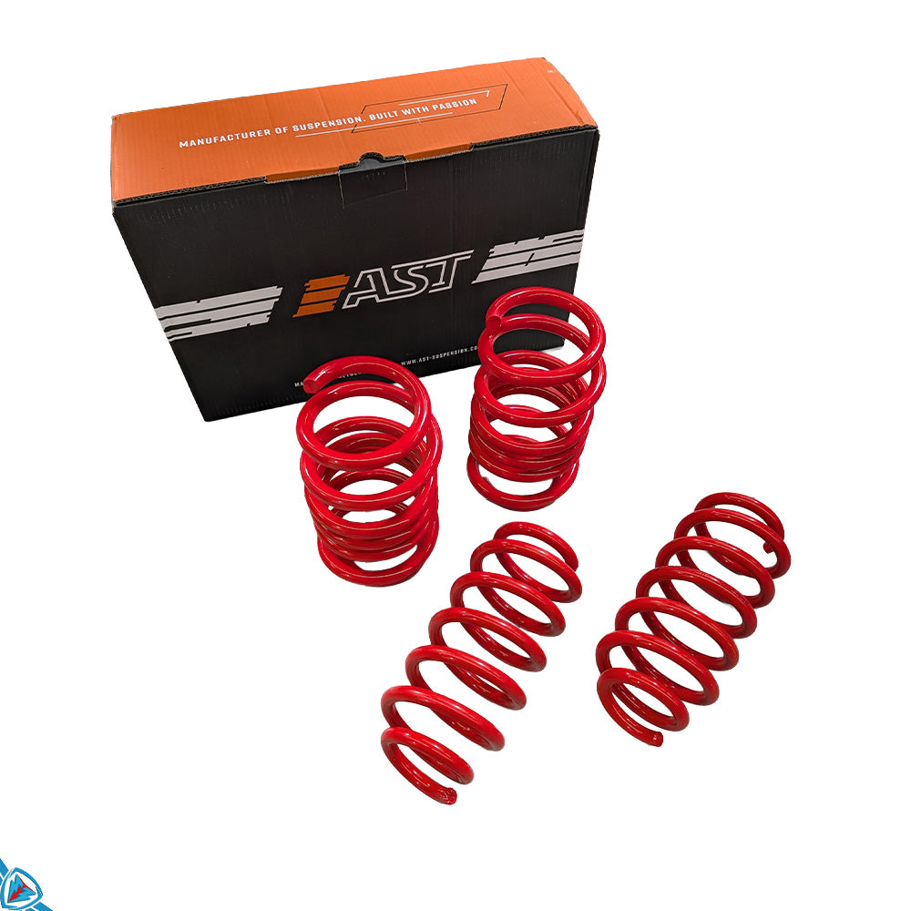 2020-2026 Tesla Model Y (MK1) Lowering Steel Springs | AST