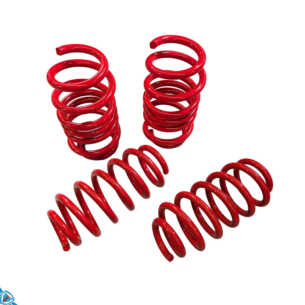 2020-2026 Tesla Model Y (MK1) Lowering Steel Springs | AST