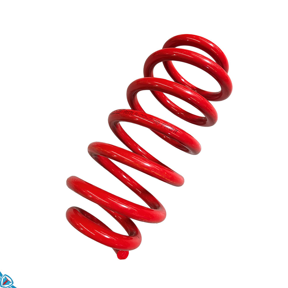 2020-2026 Tesla Model Y (MK1) Lowering Steel Springs | AST