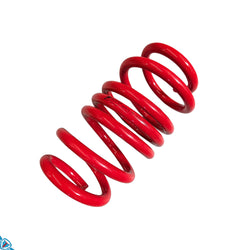 2020-2026 Tesla Model Y (MK1) Lowering Steel Springs | AST