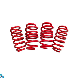 2020-2026 Tesla Model Y (MK1) Lowering Steel Springs | AST
