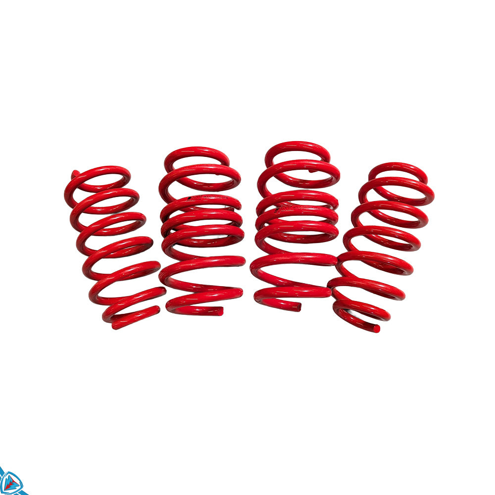 2020-2026 Tesla Model Y (MK1) Lowering Steel Springs | AST