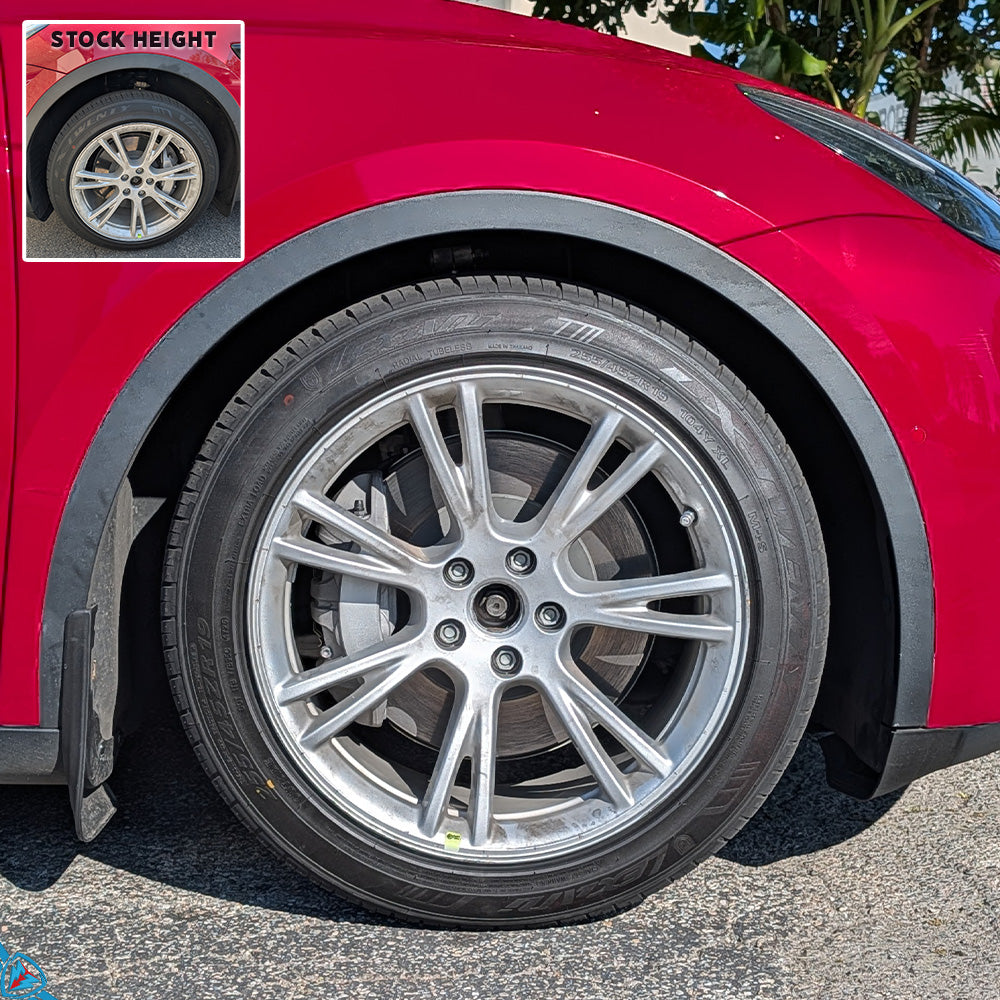 2020-2026 Tesla Model Y (MK1) Lowering Steel Springs | AST