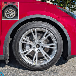 2020-2026 Tesla Model Y (MK1) Lowering Steel Springs | AST