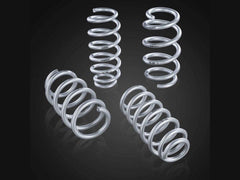 STARTECH Lowering Spring Kit for Tesla Model 3 (2WD and 4WD) - E3Tuning