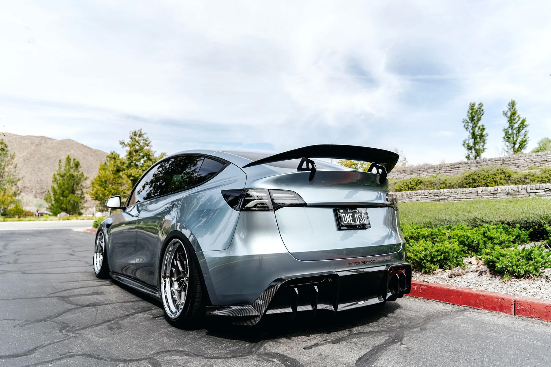 ADRO Tesla Model Y Signature AT-S Carbon Fiber Swan Neck Wing