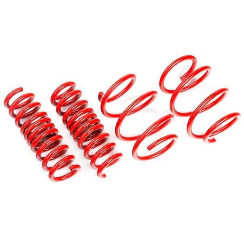 2018-2024 Tesla Model 3 (MK1/Highland) 30mm Drop Steel Lowering Springs | AST