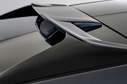 STARTECH Rear Roof Spoiler for Tesla Model Y - E3Tuning
